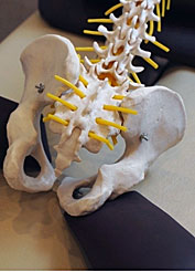 東京・八王子市のスポーツ整体・カイロプラクティック：サンスマイル八王子の骨盤矯正・腰痛治療